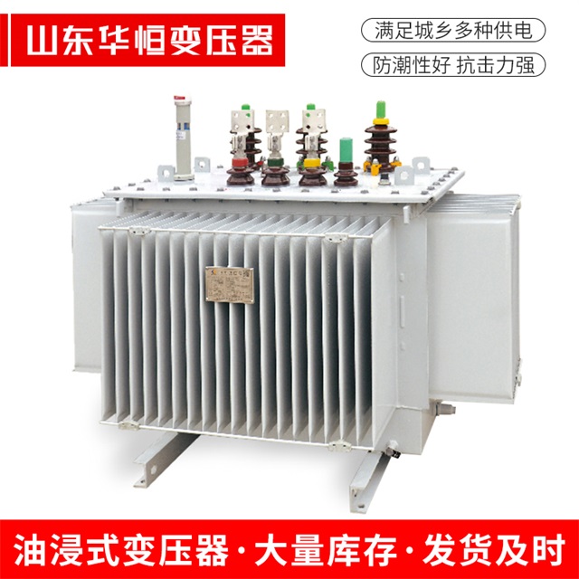 S13-10000/35衡阳衡阳衡阳电力变压器